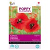 Buzzy Poppy Flowers, Poppy Red