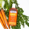 Hollywood Beauty Carrot Hair Oil, 8oz Bottle, Hair, Scalp, Skin,