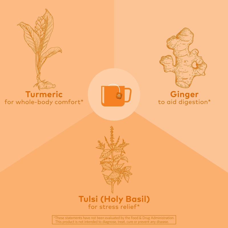 ORGANIC INDIA Tulsi Turmeric Ginger Tea Bags - Herbal Tea,