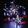 ZNYCYE 10 Pack Fairy Lights Battery Operated，10ft 30 LED String