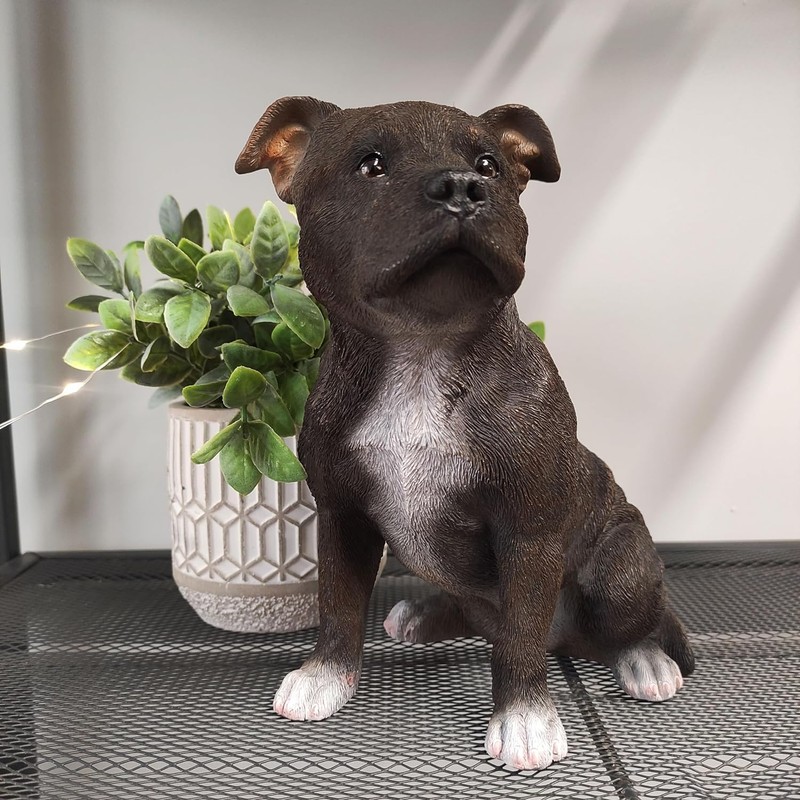 Vivid Arts - Staffordshire Terrier Brown - XRL-STF2-D