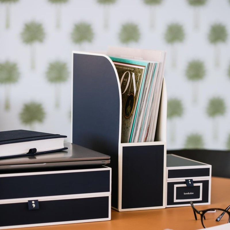 Semikolon 370093 Magazine File A4 - Magazine Collector, Document Folder,