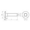 M6 (6mm x 40mm) Cup Square Carriage Bolt and Nut