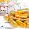 Berberina 100 Pura Con 120 Cps Suplemento Alimenticio Saisa Herbal