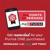 Purina ONE Plus Large Breed Adult Dog Food Dry Formula,