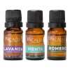 Kit Aceites Esenciales Lavanda, Menta Y Romero Pacalli