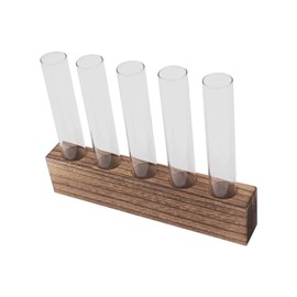 Plant Propagation Station, Plant Propagation Tubes Minimalist Look for Desktop (5 Tubes)