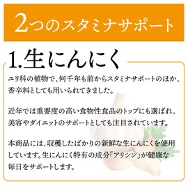 【リプサ公式】 お徳用 生にんにく＋マカ 約3か月分×2袋 C-184-2 サプリメント