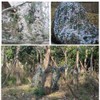 Mdurian Camouflage Net Camouflage Net Sun Protection Camouflage Net for