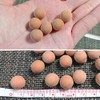 梅研本舗 有機ゲルマニウムセラミックボール 13mm 200g ゲルマニウム 温浴 ゲルマニウム温浴 温活 温活グッズ