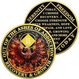 Phoenix Recovery Sobriety Coin Year Four Gifts for Sober Men & Women in Recovery Out of the Ashes of Addiction Celebrating Strength, Growth, and Freedom