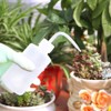 ZELARMAN 3-Pack Plant Flower Watering Bottle/Succulent Watering Cans Plastic Squeeze