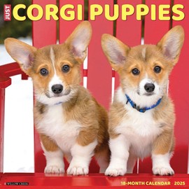 Just Corgi Puppies 2025 12" x 12" Wall Calendar