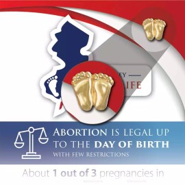 Heritage House '76 Precious Feet, Gold-Colored, New Jersey Stats Card Jewelry, Lapel Pin