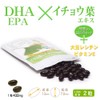 大日ヘルシーフーズ DHA EPA イチョウ葉 80粒入×1袋（40日分） 大豆レシチン ビタミンE 配合 サプリ