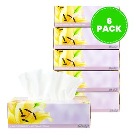 Plasticpro - Pañuelos faciales de 130 por caja, tamaño de 17,8 x 17,5 cm, 2 capas, ideal para baño, oficina, tienda, escuela, hogar, cocina, o en tu coche y en cada habitación (paquete de 6, 780 pañuelos en total)