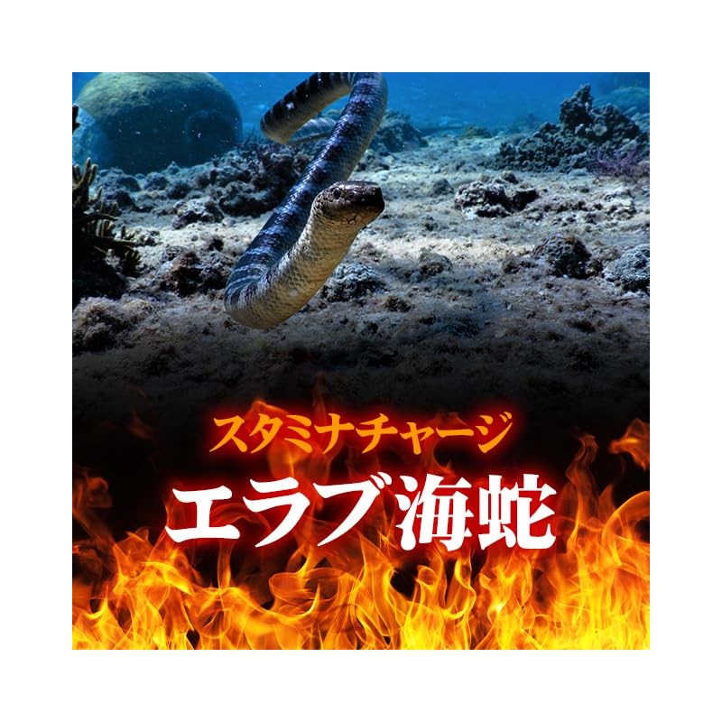 Lipsa Elabu Sea Serpent, Approx. 1 Month Supply, C-261 (30