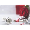 BESZONE Tin Rose 10th Anniversary for Her Gift - Tin