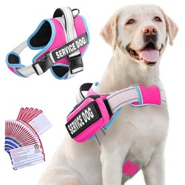 Eosarcu Service Dog Harness with Mini Storage Bag, Adjustable Outdoor Pet Dog Vest, Reflective Nylon Material, No Pull Dog Harness with Replaceable Patch & ADA Info Cards for Small, Medium, Large Dogs