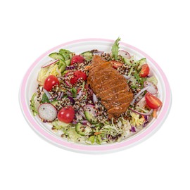 Restaurantware Compostable Paper Plates 100 Pack of 10.15 Inch Disposable Sugarcane Bagasse Plates No PFAS Added Microwavable Freezable Hot and Cold Food Ready White Round Rimmed Party Dinnerware