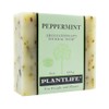 Plant Life Peppermint Bar Soap, 113g – Invigorating & Moisturizing