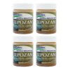 Pack 4 Pomadas De Tepozán Frasco De 40g C/u Mentol