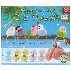 Kotorinu [Complete Set of 5 Types] Gachagacha Capsule Toy