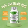 Detox, Anti-Bloating, Anti-Water Retention Shape Boost Tablets | Dandelion Root