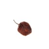 4oz Dried Habanero Peppers by 1400s Spices