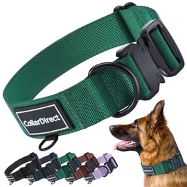 CollarDirect Hochwertiges, strapazierfähiges Nylon-Halsband für Hunde, groß, mittelgroß, klein, Welpen, 4 Farben, Grün, Schwarz, Rot, Lila, verstellbare Länge, langlebig (Halsumfang 38,1 - 58,1 cm,