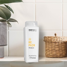 Framesi Morphosis Hair Treatment Line Repair Shampoo 250 ml