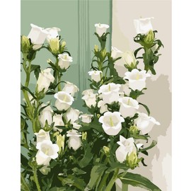 Lolipony Paint by Numbers for Adults, DIY Canvas Oil Painting Kit for Children with Brushes Acrylic Pigment Painting Drawing 40 x 50 cm Flowers Landscapes