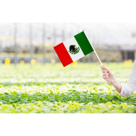 50 Pack Mexico Mexican Flags on Stick Flags,Small Mini Hand Held Mexico Mexican Flags 5.5x8.3 Inch, Grand Opening, Carnival,Party Events Celebration