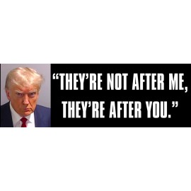 American Vinyl 3x9 inch Trump Mugshot: They're Not After Me Bumper Sticker (us president decal)