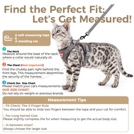 pangdi Cat Harness and Leash Set, Lightweight Air-Mesh Cat Vest, Grey, L