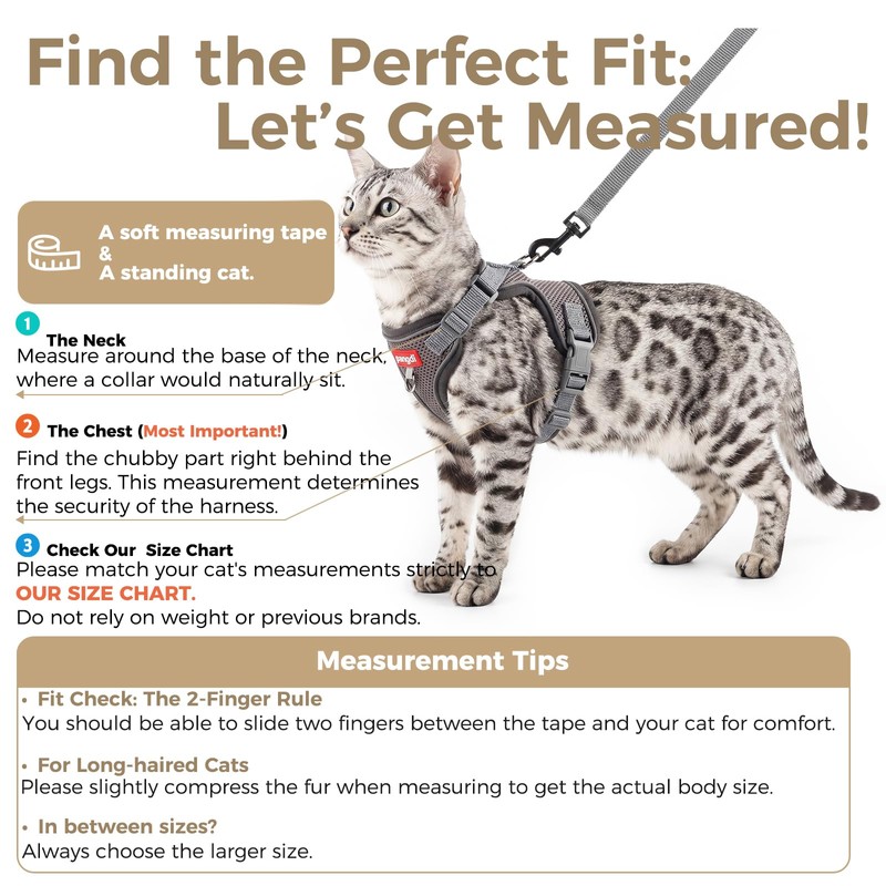 pangdi Cat Harness and Leash Set, Lightweight Air-Mesh Cat Vest,