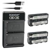 Kastar 2-Pack Battery and LKD2 USB Charger Compatible with Sony