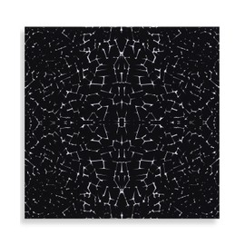 PiOQ PQ Bandana - Careless (Black)