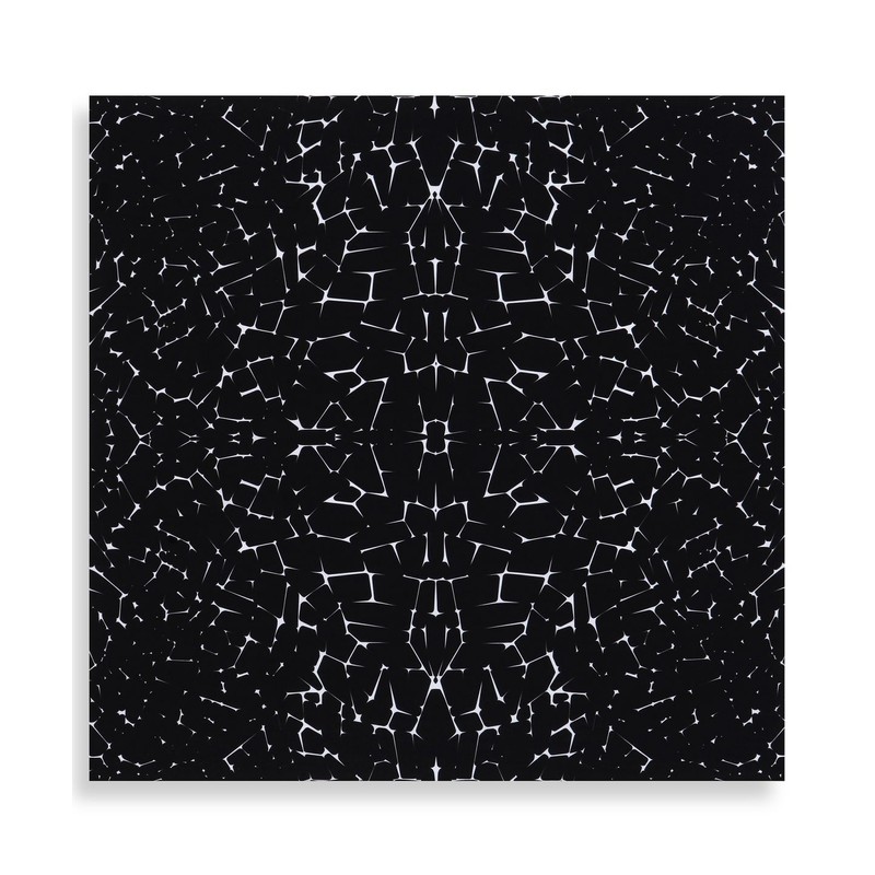 PiOQ PQ Bandana - Careless (Black)