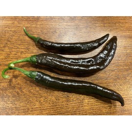 Pasilla Apaseo Little Raisin Chile Oaxacan Chilaca Chili Heirloom Pepper Premium Seed Packet
