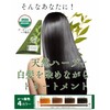 Shim Shim Madame Henna 8P (Dark Brown)