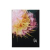 POLA B.A 3D Oasis Eye Color EX01 Sunshine Bouquet [Eye