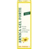 Dr. Theiss Arnica Strong High Concentration Gel 100ml Suitable as