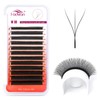 FADVAN 3D W-Shaped Volume Eyelashes, 0.07D Curl, Mixed 8-14 mm