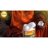 Solabiol SOSOL600 Insects of the Ground 600 g