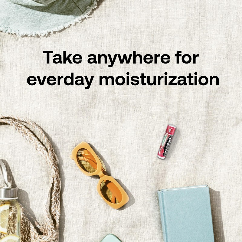 ChapStick Lip Moisturizer, Raspberry Sorbet, 12-Pack – Bulk Lip Balm,