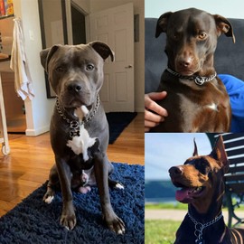 Mystercome Dog Collar Slip Collar Metal Collar Chewproof P Collar Heavy Chain Dog Training Collar Choke Collar Adjustable Weather Proof Alloy Collars for Small Medium Large Dogs 21inch,3.0mm