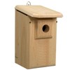 Coveside Western Bluebird House with Observation Window