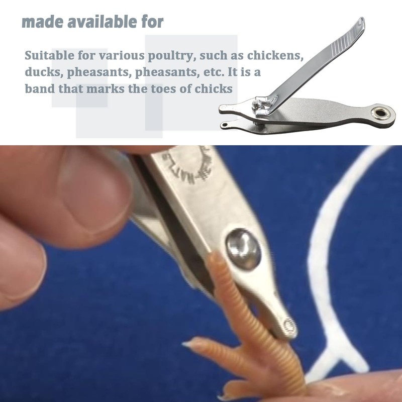 Follde Compound Lever Chick Toe Punch for Chickens Ducks &