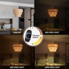 Ziqqeelam Rattan Plug in Pendant Light, 3 Tier Plug in